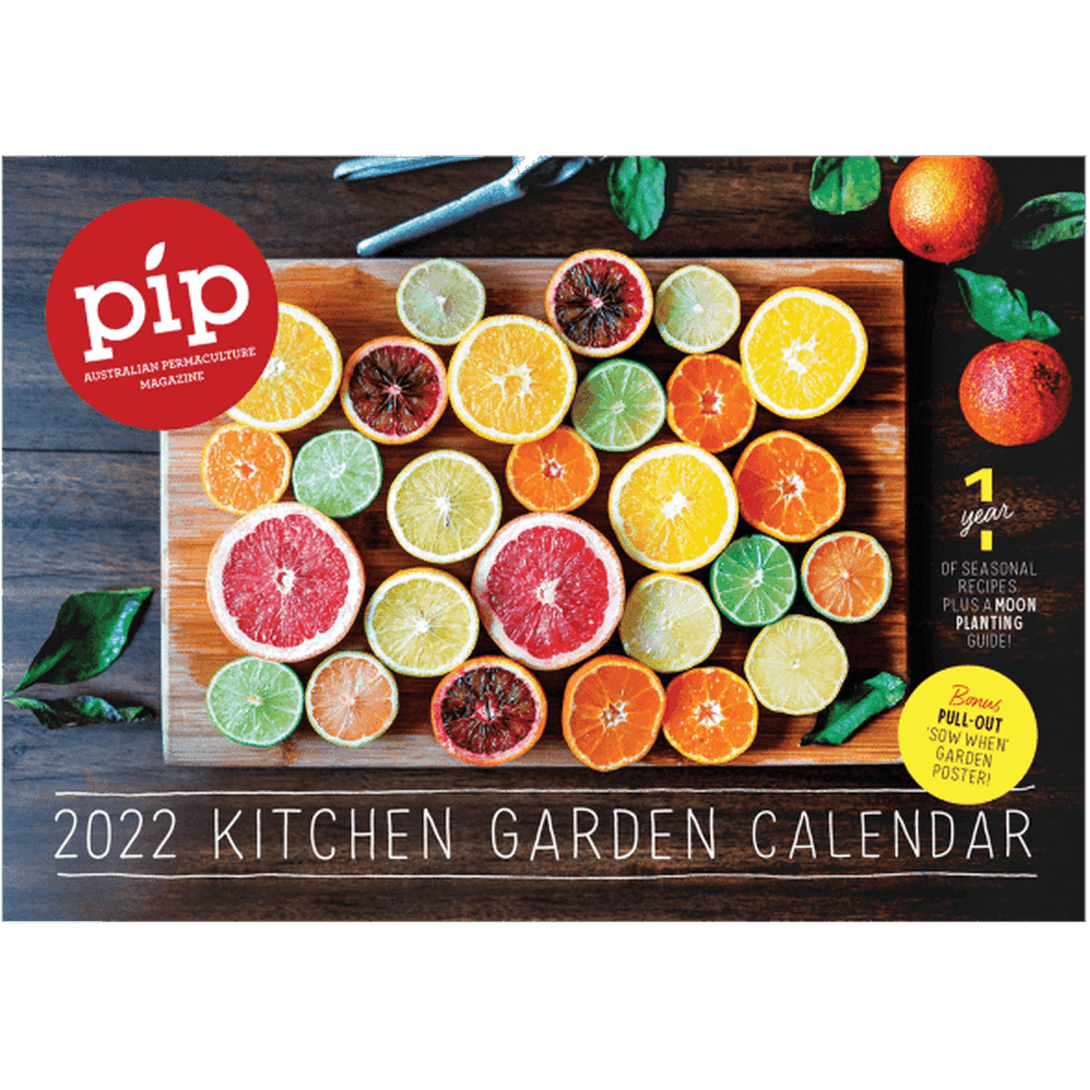 2022 Pip Magazine Calendar Cover