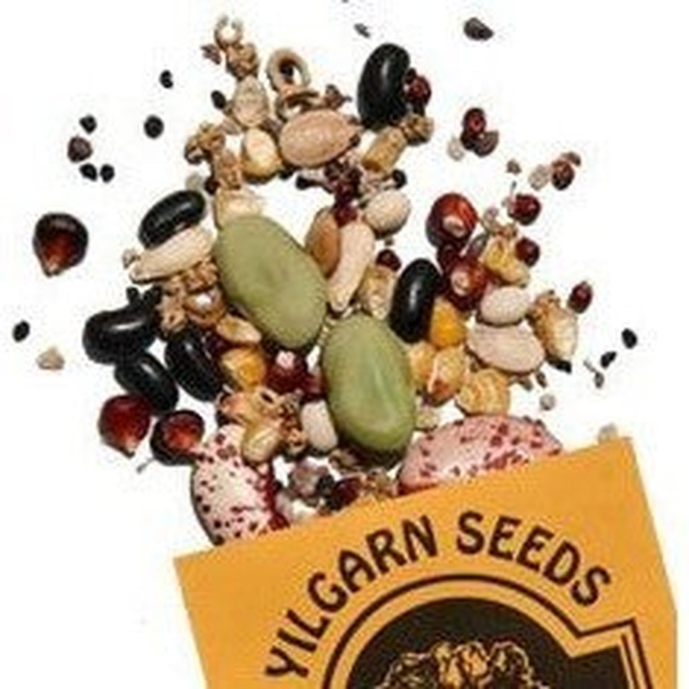 Open Pollinated and Heirloom Seeds - Yilgarn - Urban Revolution