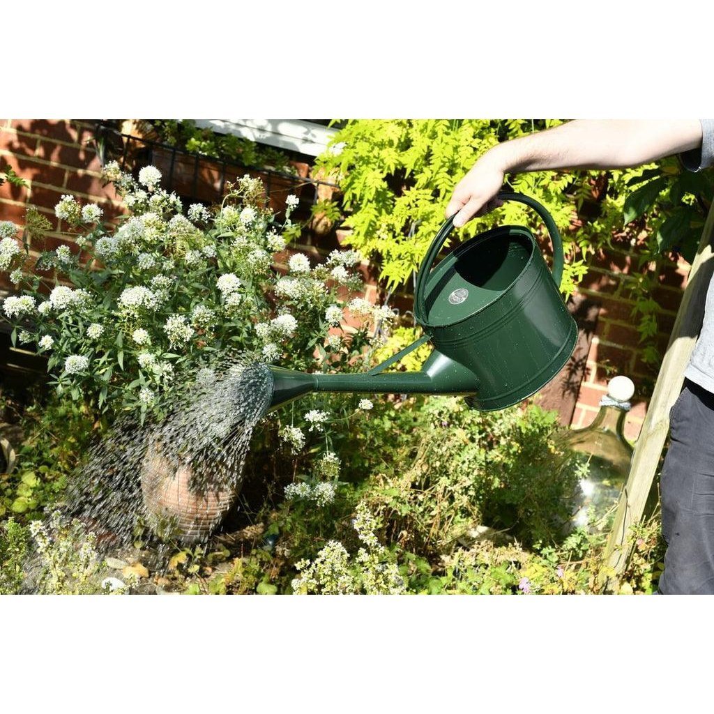 Watering the Garden with the 9L Waterfall Watering Can from Burgon &amp; Ball in British Racing Green