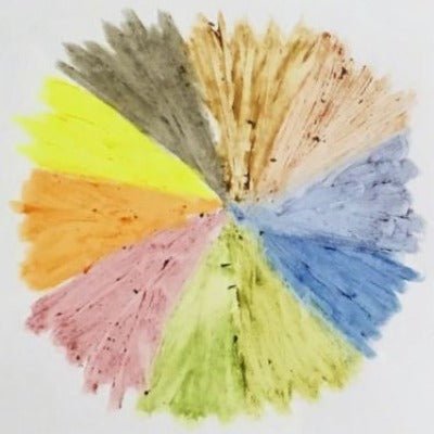 Colour Wheel  Crayon Pigment on Paper - 9pk
