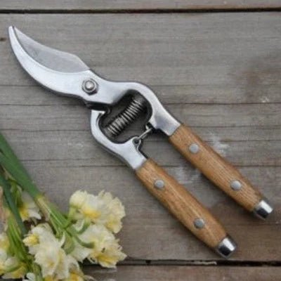 Ash Wood Handled Secateurs from Heaven In Earth