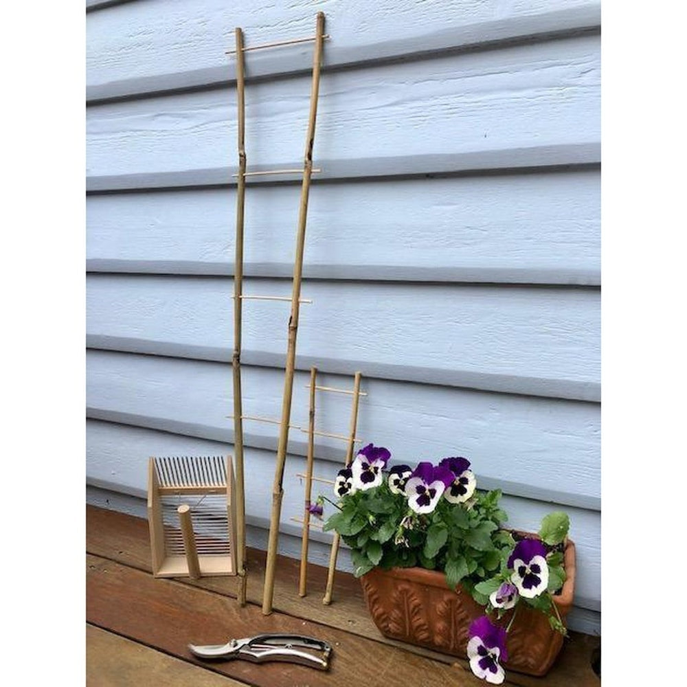 Bamboo Ladder Trellis in Smaller Size