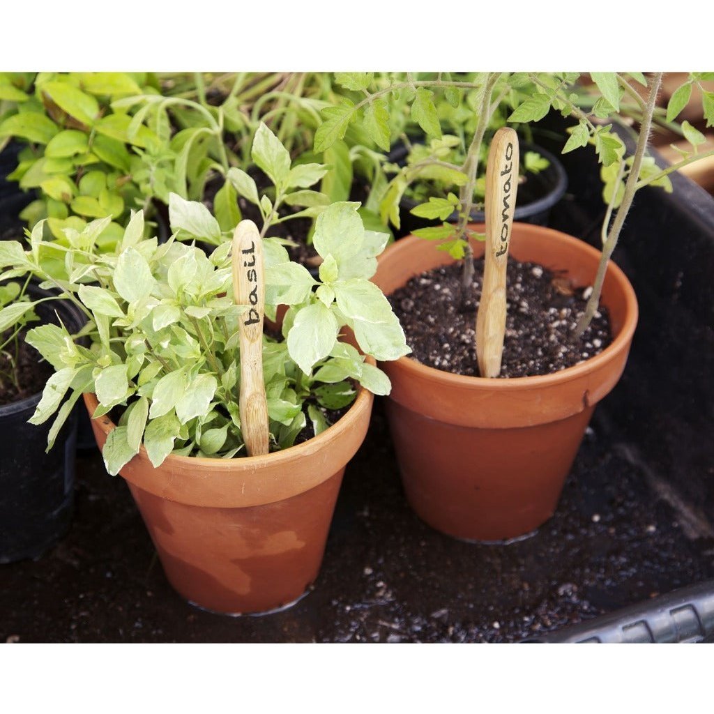 Bamboo Toothbrush Handles Repurposed as Plant Labels