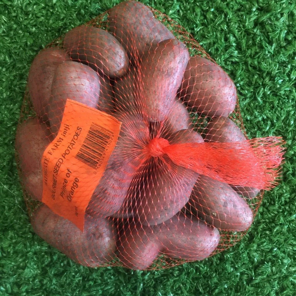 Bathgate Farm Gourmet Seed Potatoes - Prince of Orange
