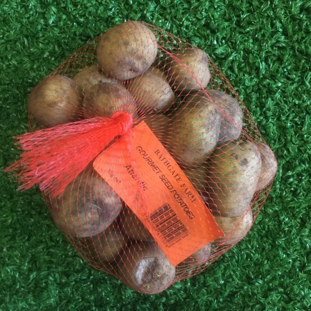 Bathgate Farm Gourmet Seed Potatoes - Atlantic