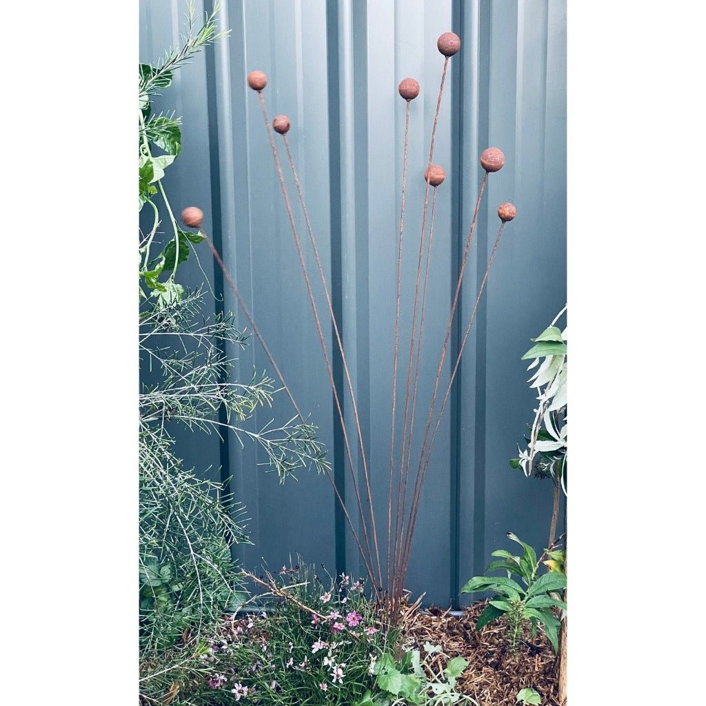 Billy Buttons Decorative Rust Garden Stake