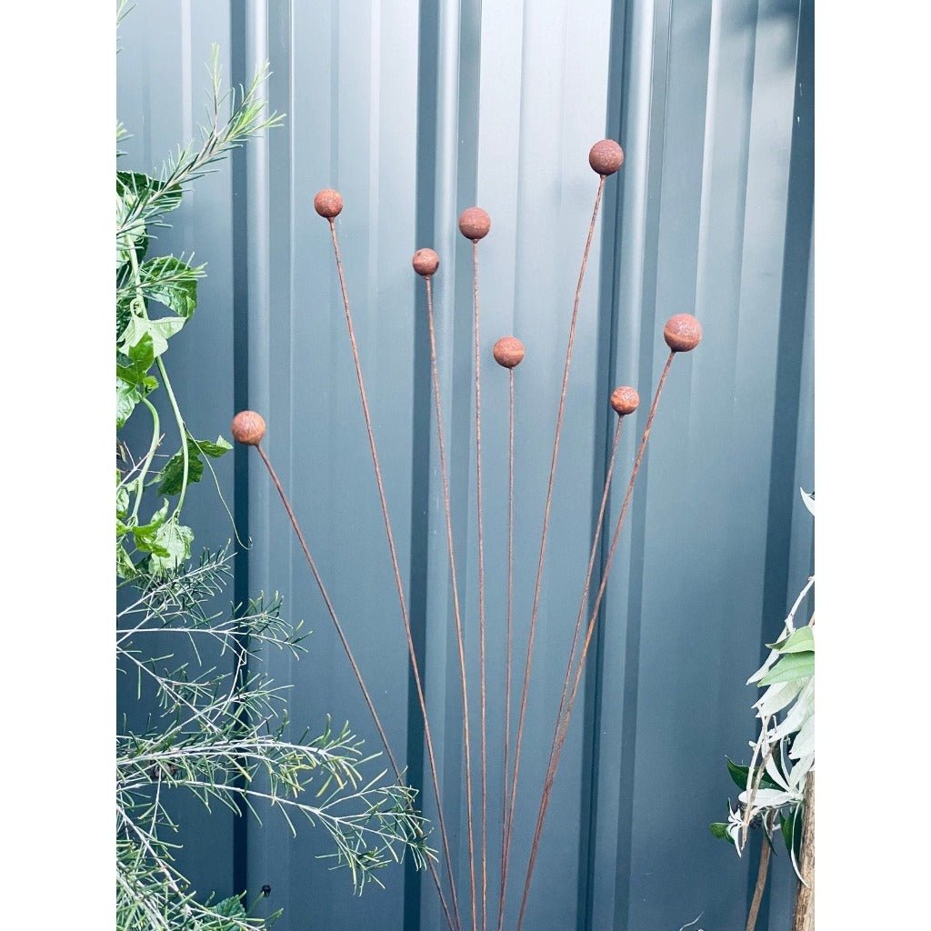 Billy Buttons Decorative Rust Garden Stake - Close Up of Flower Heads