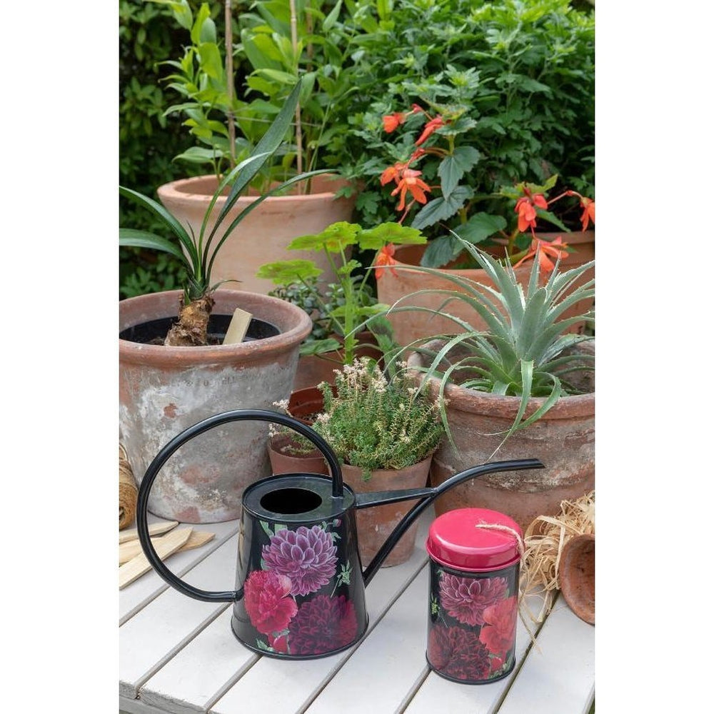 Watering Can - British Bloom Indoor