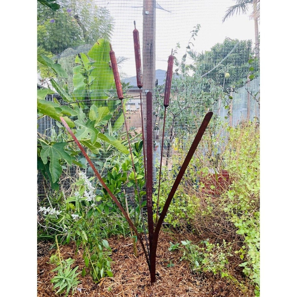 Decorative Bulrush Garden Stake in Garden