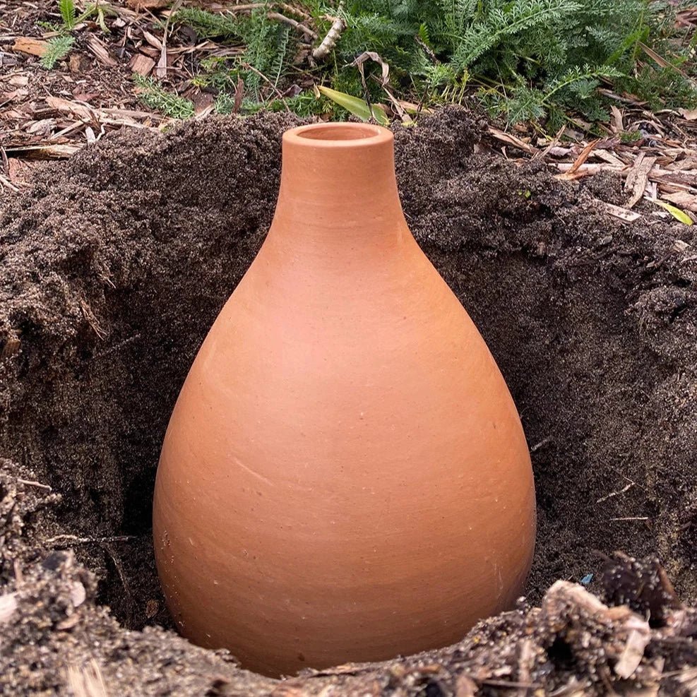 Bury Olla Pot in Ground up to the Neck. 