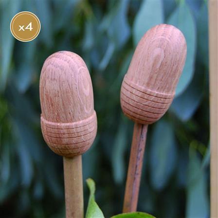 Two Turned Oak Cane Toppers on Bamboo Canes.