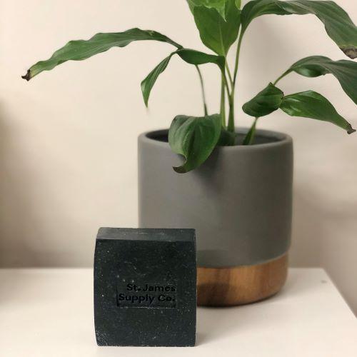 Charcoal Facial Cleansing Bar from St James Supply Co, with a Potted Plant