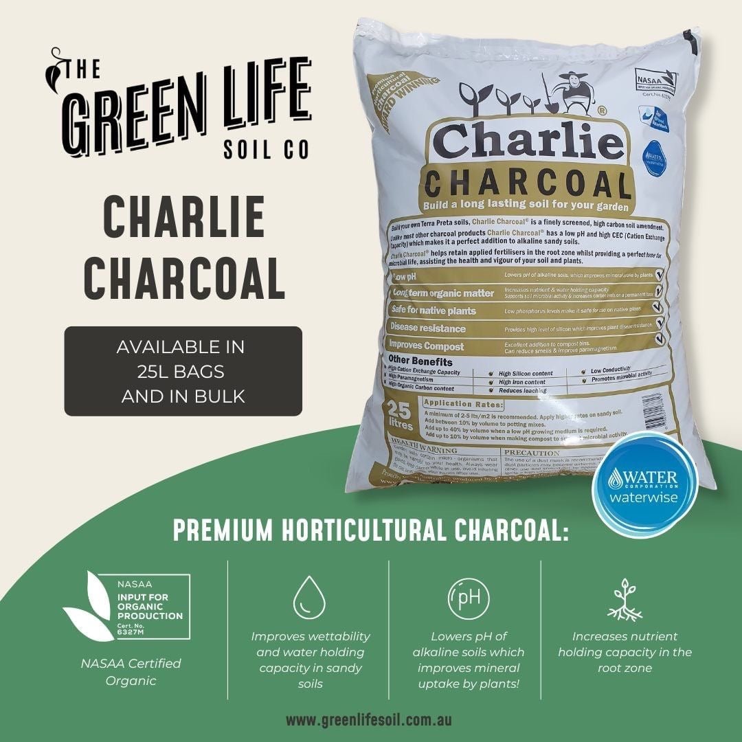Charlie charcoal biochar Greenlife Soil Company