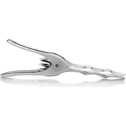 Classic Clip - Stainless Steel