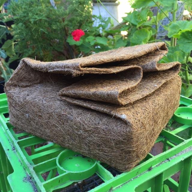 Square Coir Planter Grow Bag With Coir Fibre Block - Hort With Heart - Urban Revolution