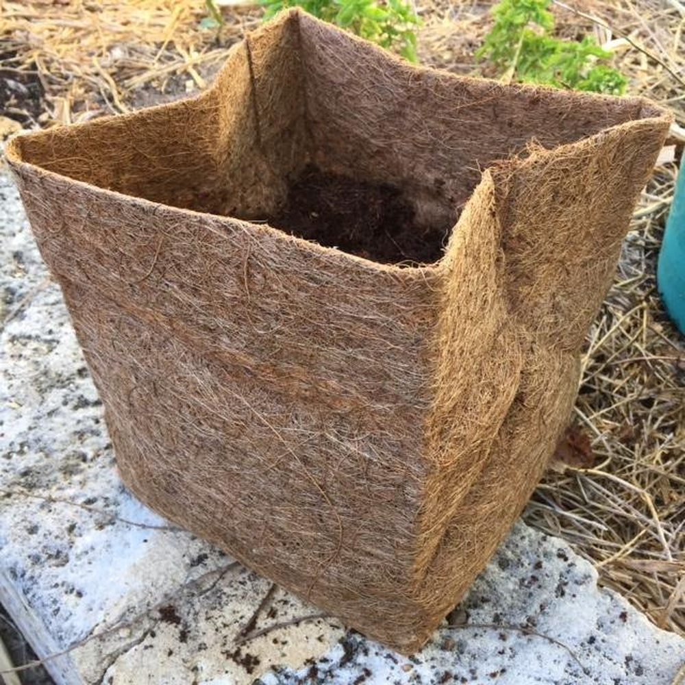 Square Coir Planter Grow Bag With Coir Fibre Block - Hort With Heart - Urban Revolution