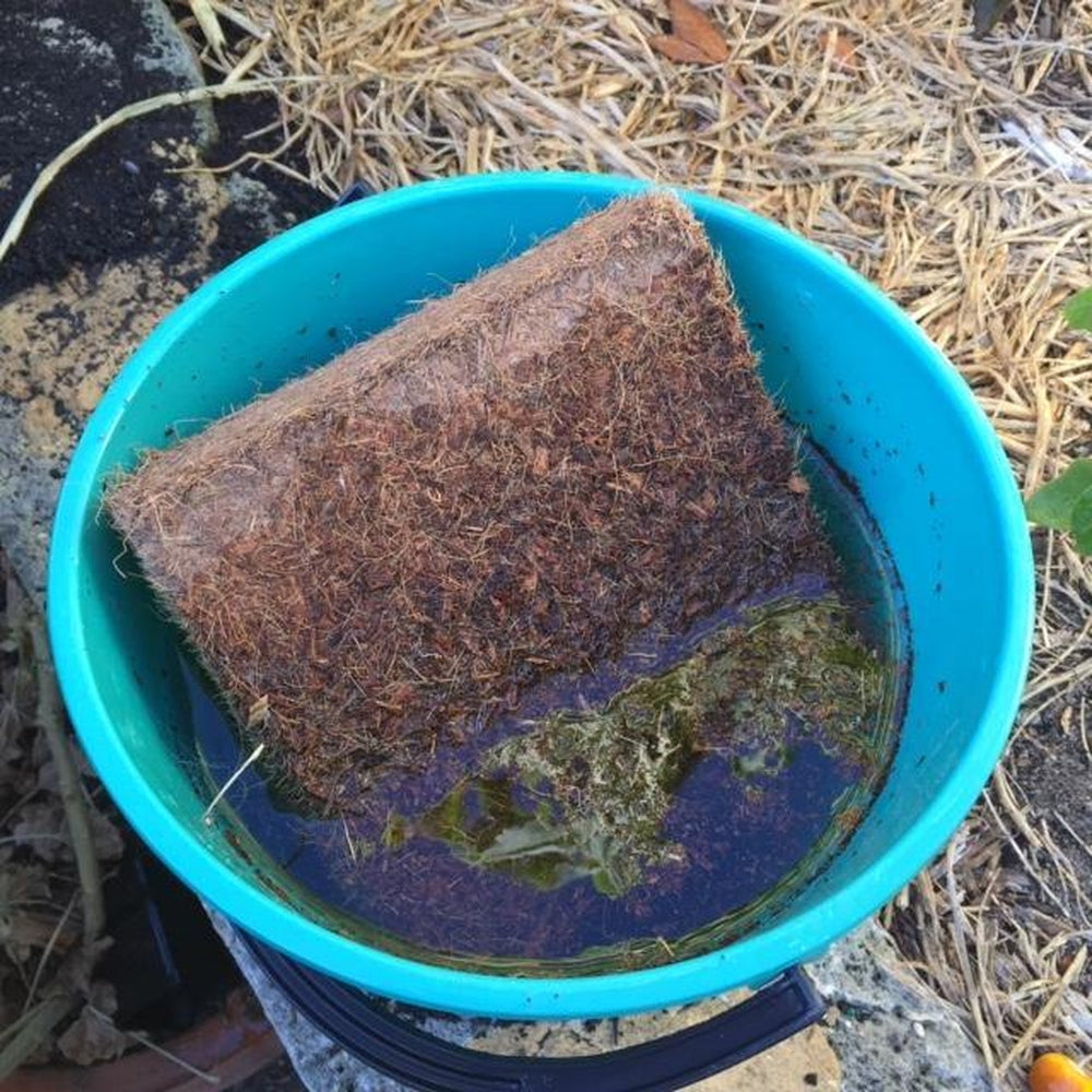 Square Coir Planter Grow Bag With Coir Fibre Block - Hort With Heart - Urban Revolution