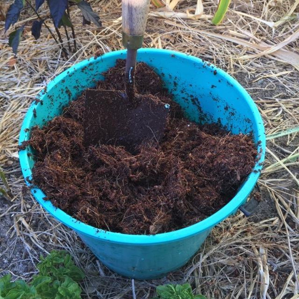 Square Coir Planter Grow Bag With Coir Fibre Block - Hort With Heart - Urban Revolution