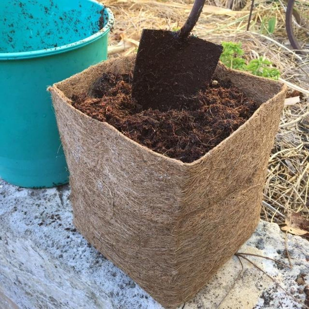 Square Coir Planter Grow Bag With Coir Fibre Block - Hort With Heart - Urban Revolution