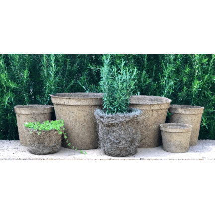 Coir Fibre Pots - Various Sizes