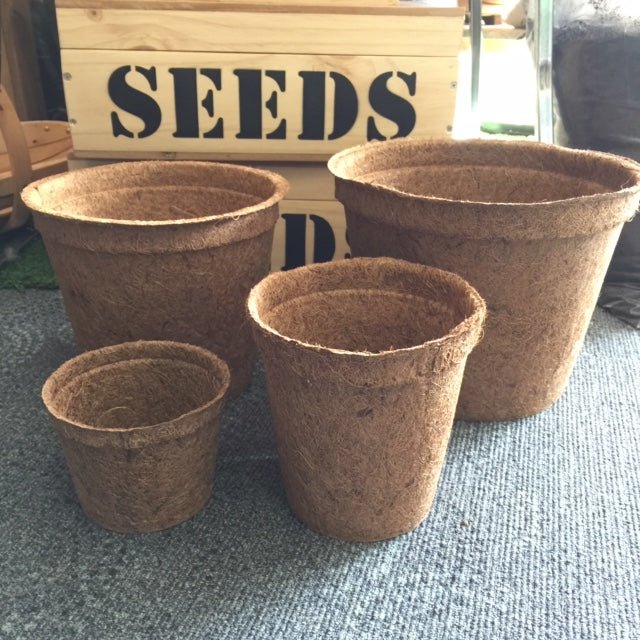 Coir Pots by Hort with Heart