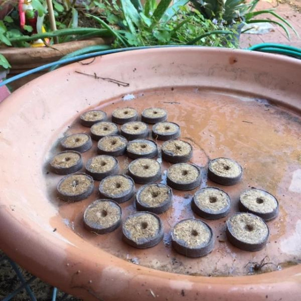 Coir Seed Starter Pellets