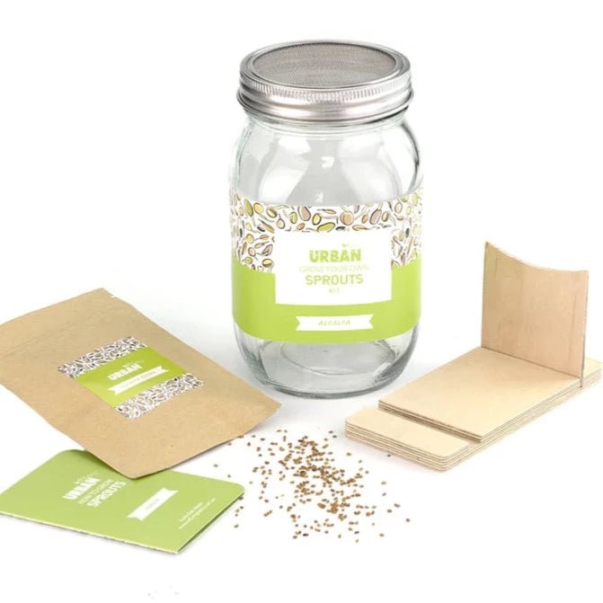 Contents of Alfalfa Sprouts Jar Kit from Urban Greens, Including Seeds, Timber Stand, Instructions