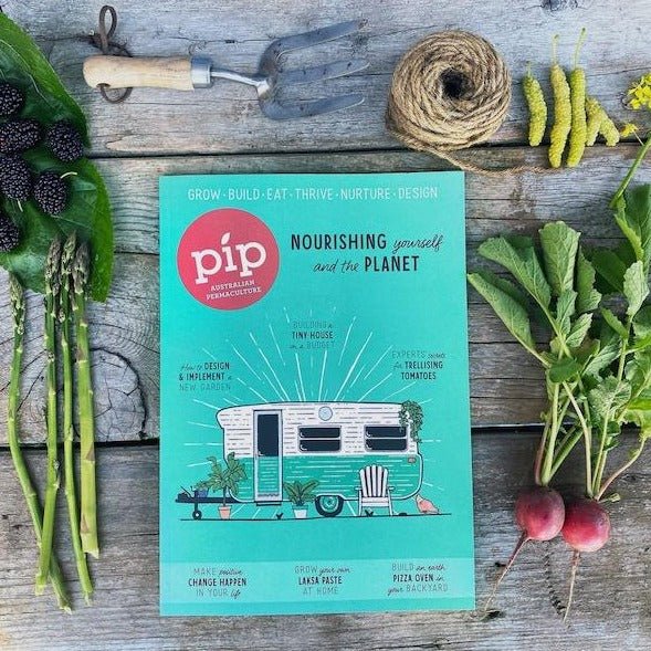 Cover Image of Issue 22 of PIP Magazine