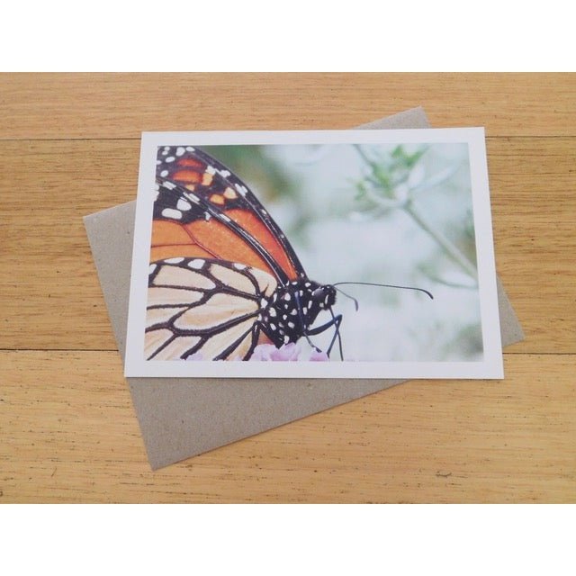 Greeting Card - Single Design 5” x 7” Wanderer Butterfly