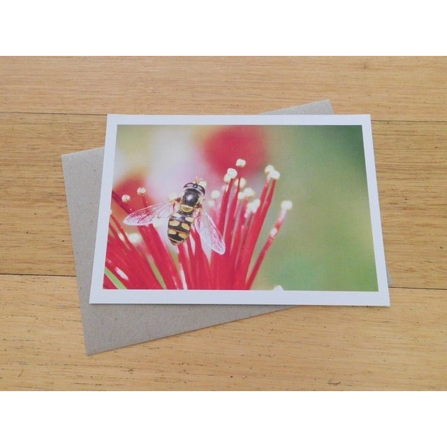 Greeting Card - Single Design 5” x 7” Hoverfly on Guava Blossom