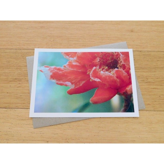 Greeting Card - Single Design 5” x 7” Pomegranate Blossom