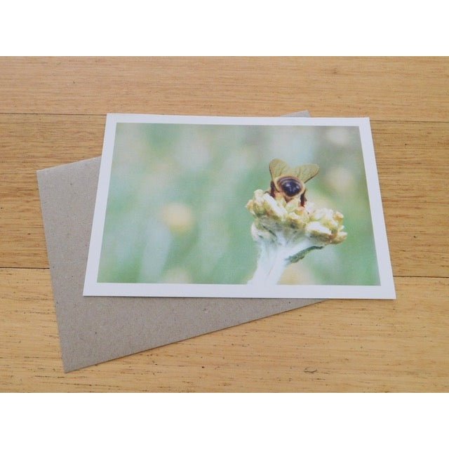 Greeting Card - Single Design 5” x 7” Little Bee