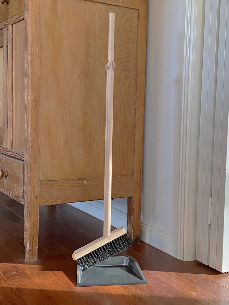 Dustpan and Brush with Long Handle
