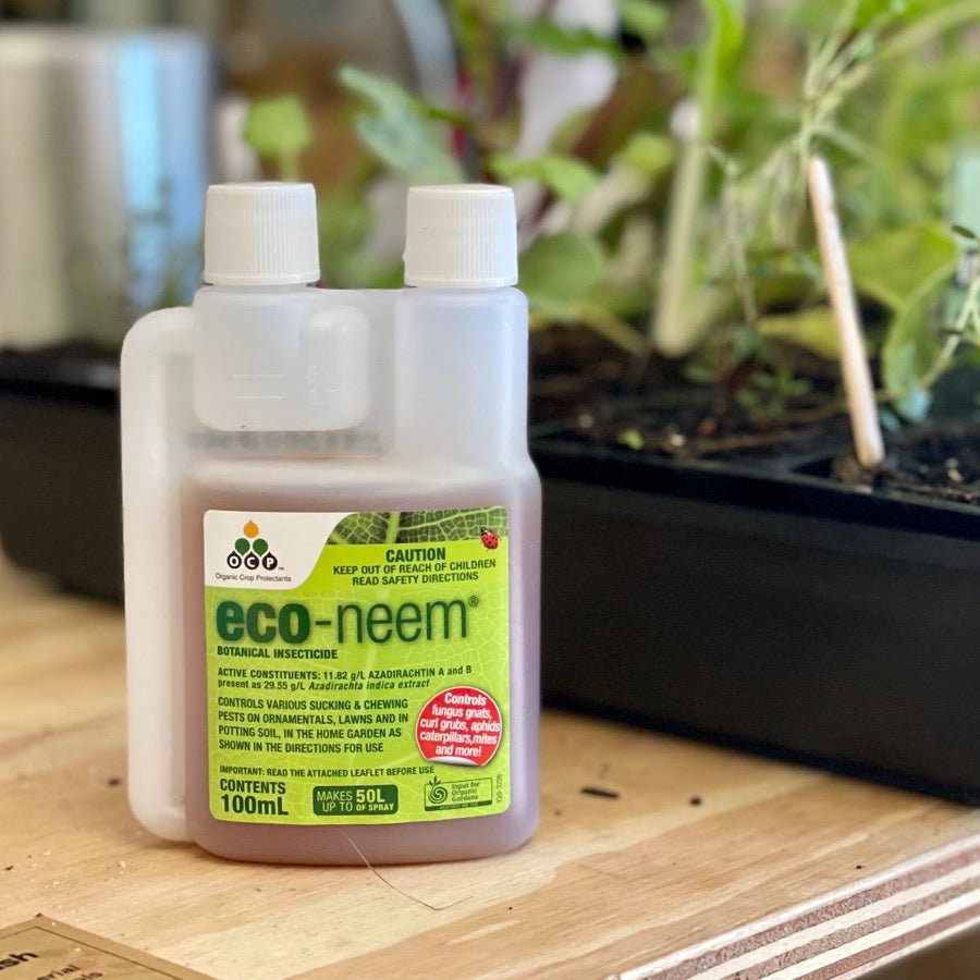 Eco Neem 100ml Bottle of Botanical Insecticide