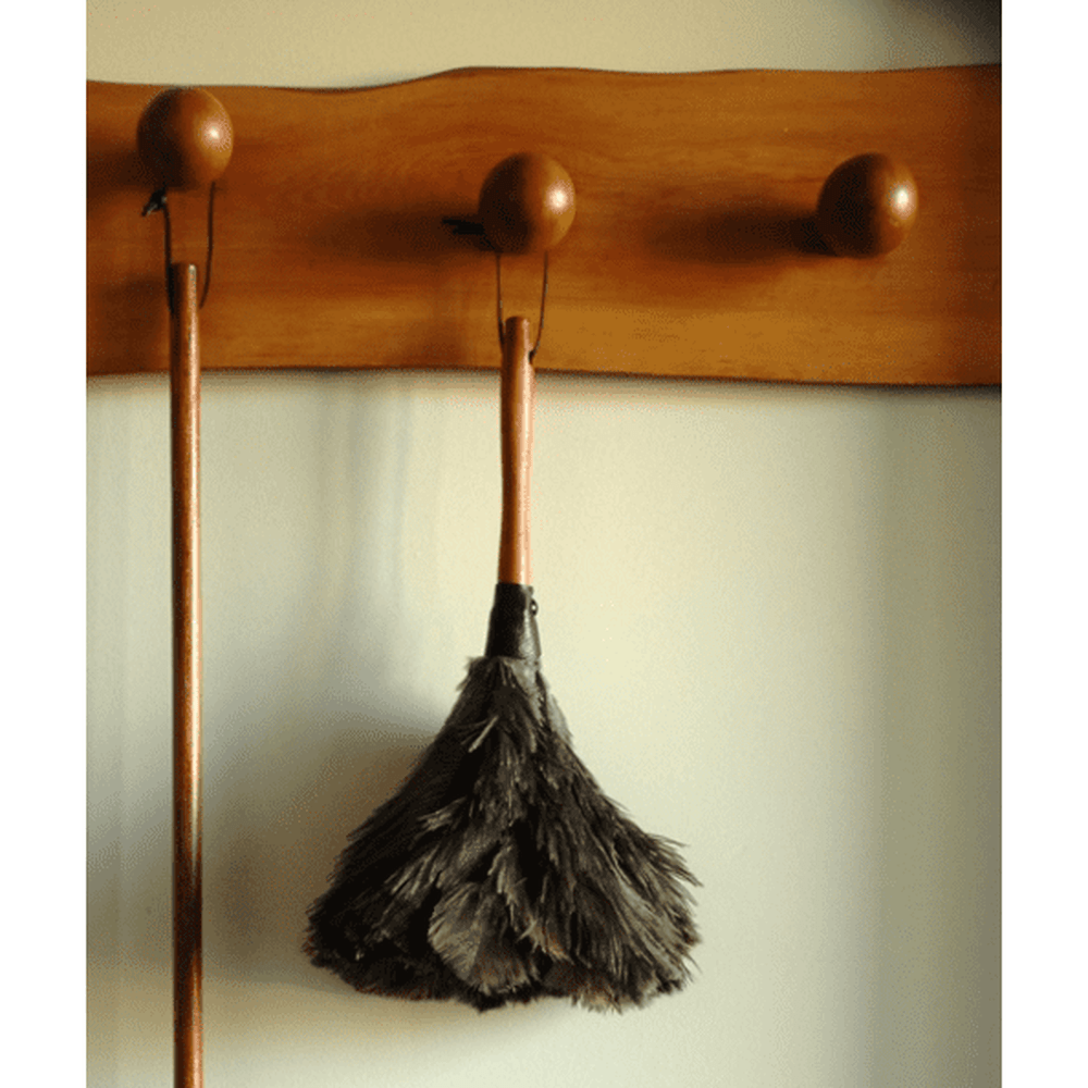 Feather Duster by Heaven In Earth