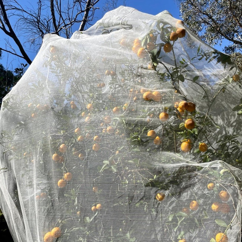 Woven Fruit Tree Fitted Insect Net 2.4m x 2.89m