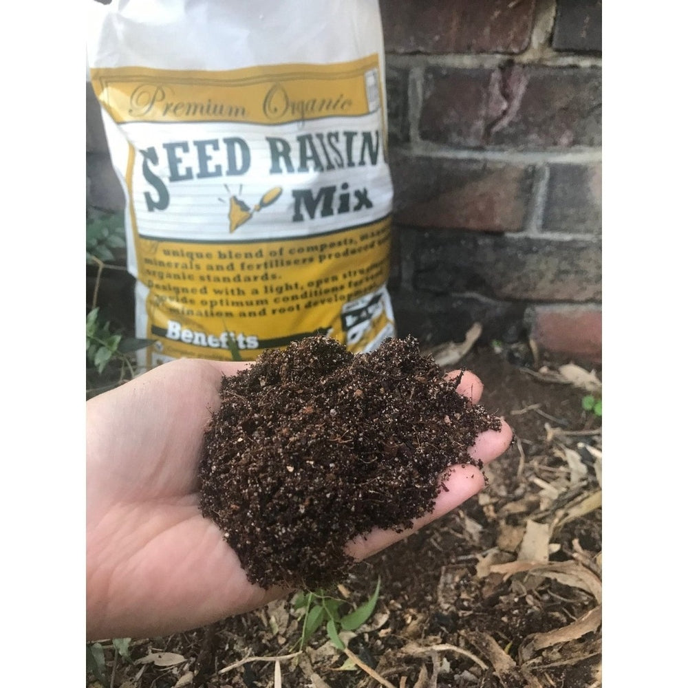 A Handful of Seed Raising Mix from Green Life Soil Company