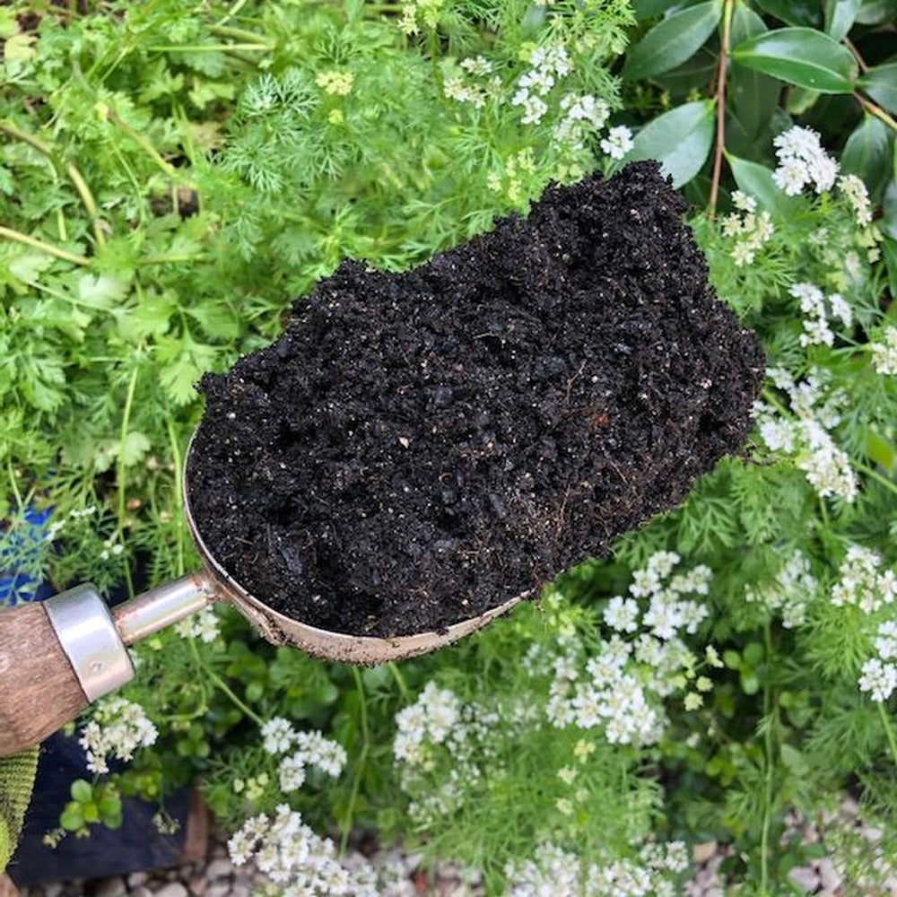 A Scoop of Square Foot Gardening Mix from The Green Life Soil Co.