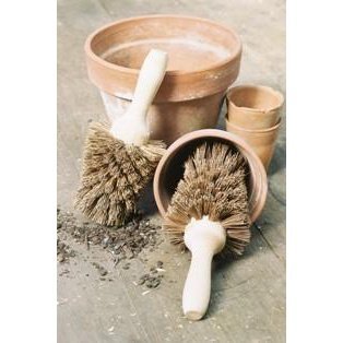 Garden Pot Brushes from Heaven In Earth, with Terracotta Pots