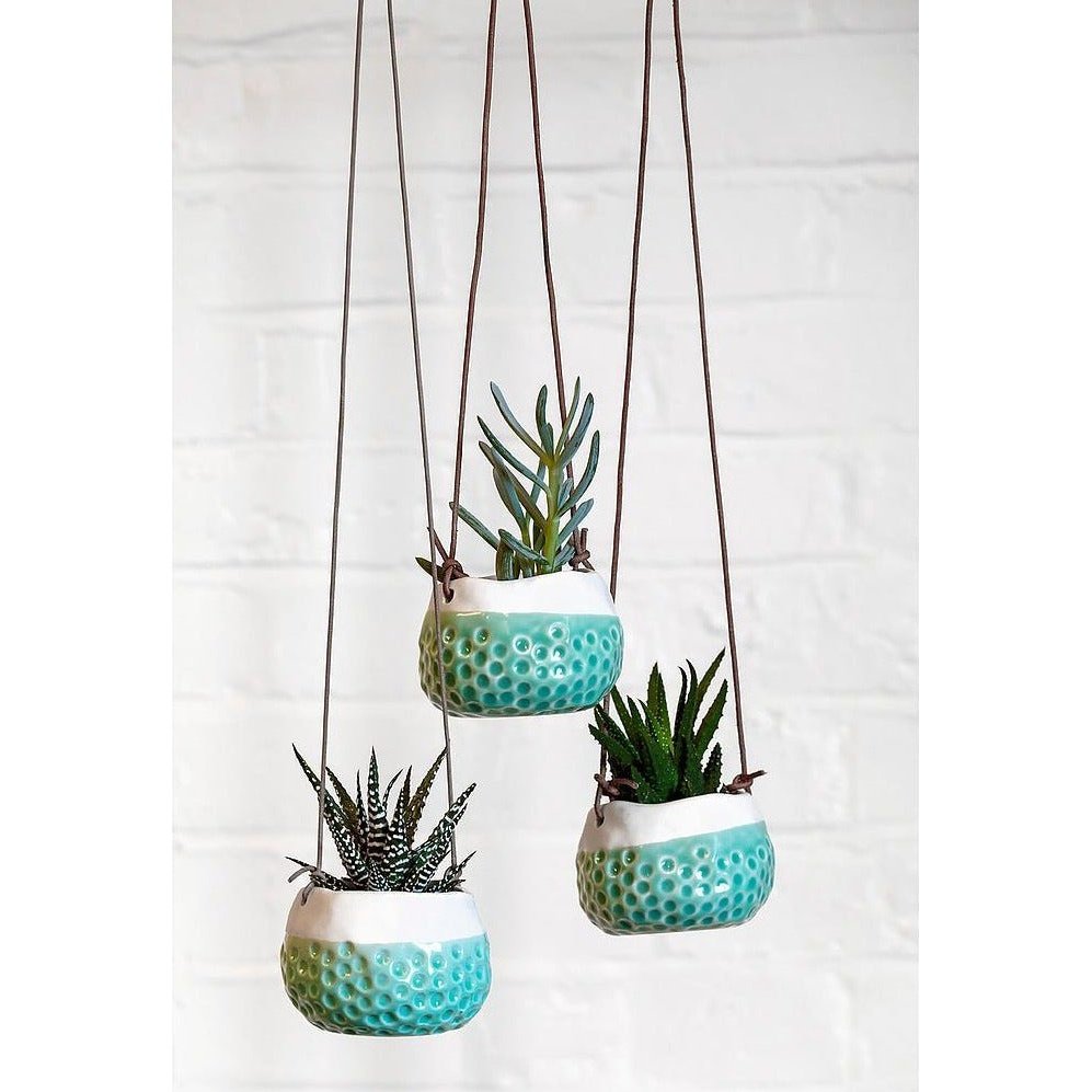 Hanging Pot - Baby Dotty by Burgon and Ball with Succulents
