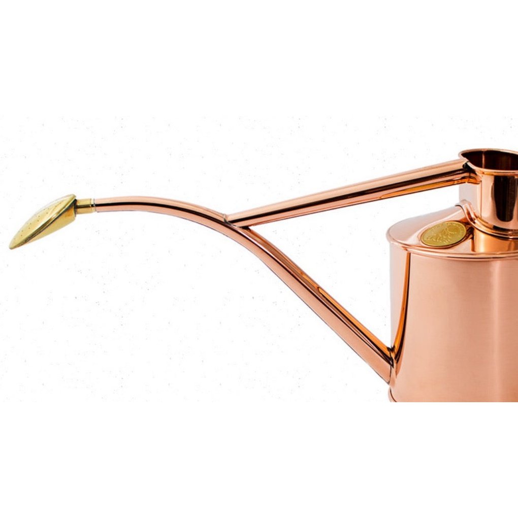 Detail of the Spout and Rose of The Rowley Ripple 1 Litre Copper Watering Can, from Haws