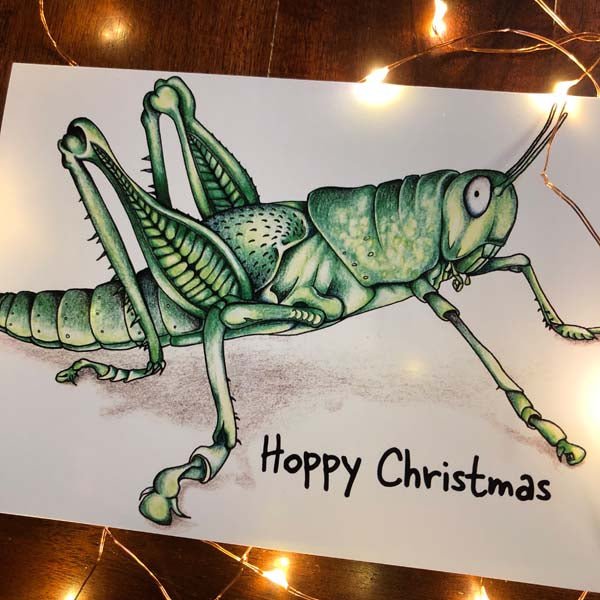 Greeting Card by Sarah Davies - Hoppy Christmas Design