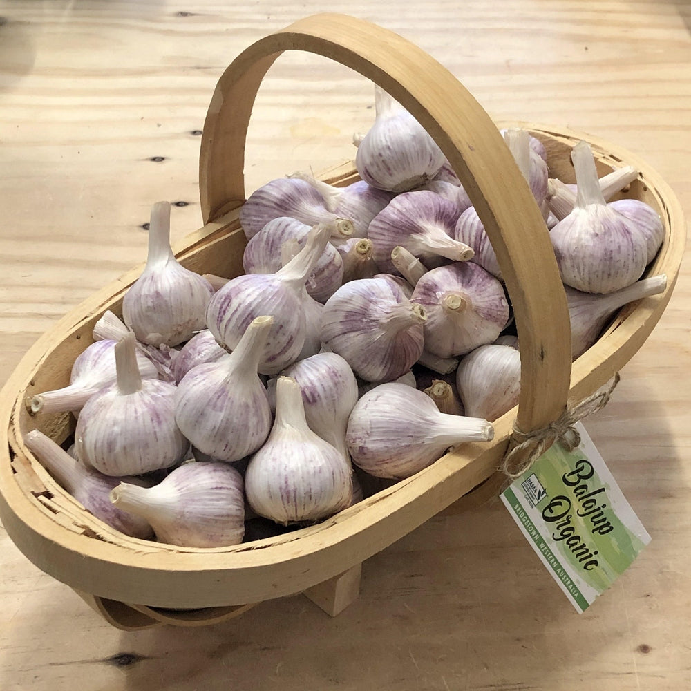 Garlic Bulb - Certified Organic - Purple Stripe - South West Grown - Urban Revolution