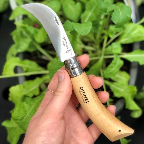 Pruning Knife - Opinel No 8 Stainless Steel - Urban Revolution