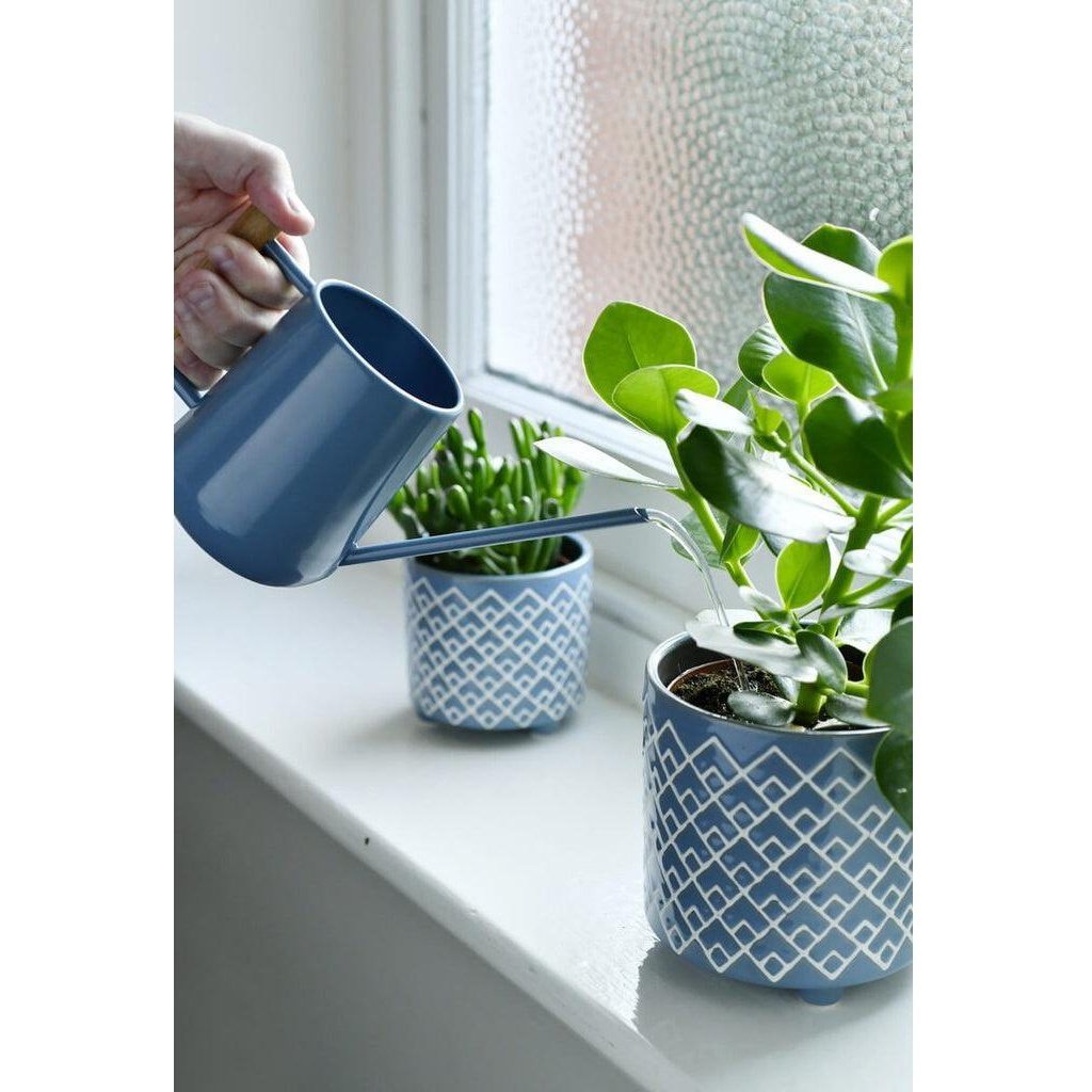 Watering plants with 0.7L Indoor Watering Can from Burgon &amp; Ball in Heritage Blue