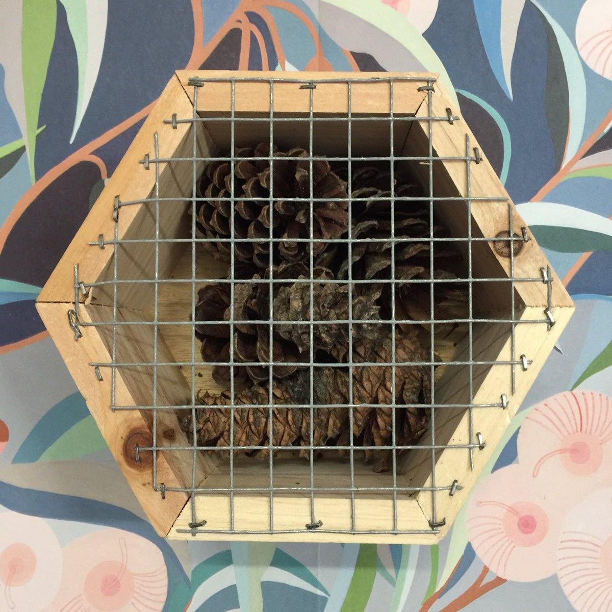 Hexagonal Insect Hotel with Pinecones - Front view