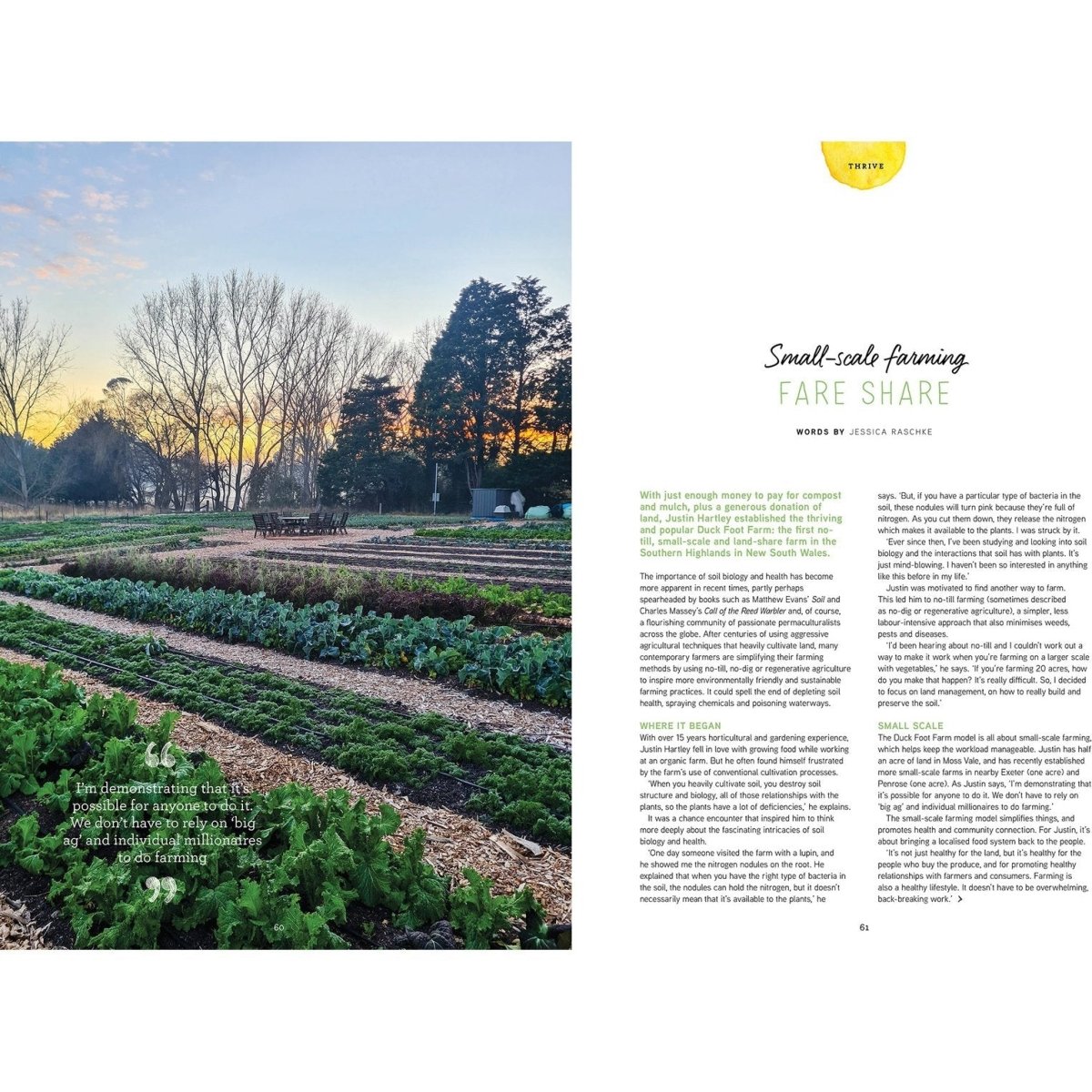 Preview of small scale farming feature in Pip Magazine issue 22