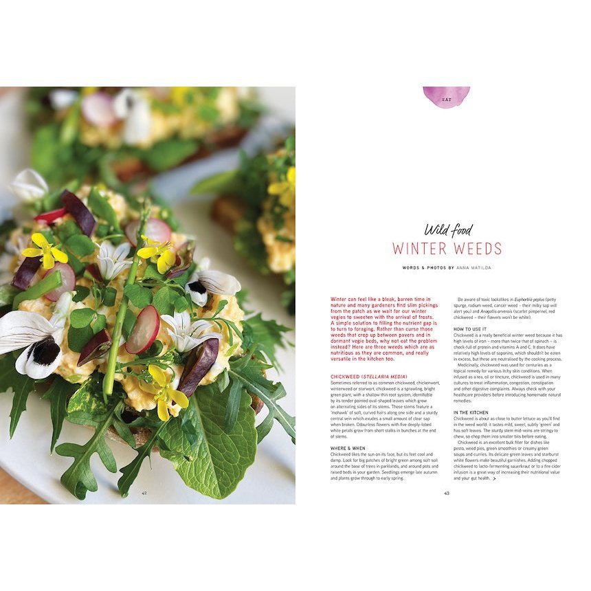 Pip Magazine Issue 28 Feature Article - Wild Food Winter Weeds.