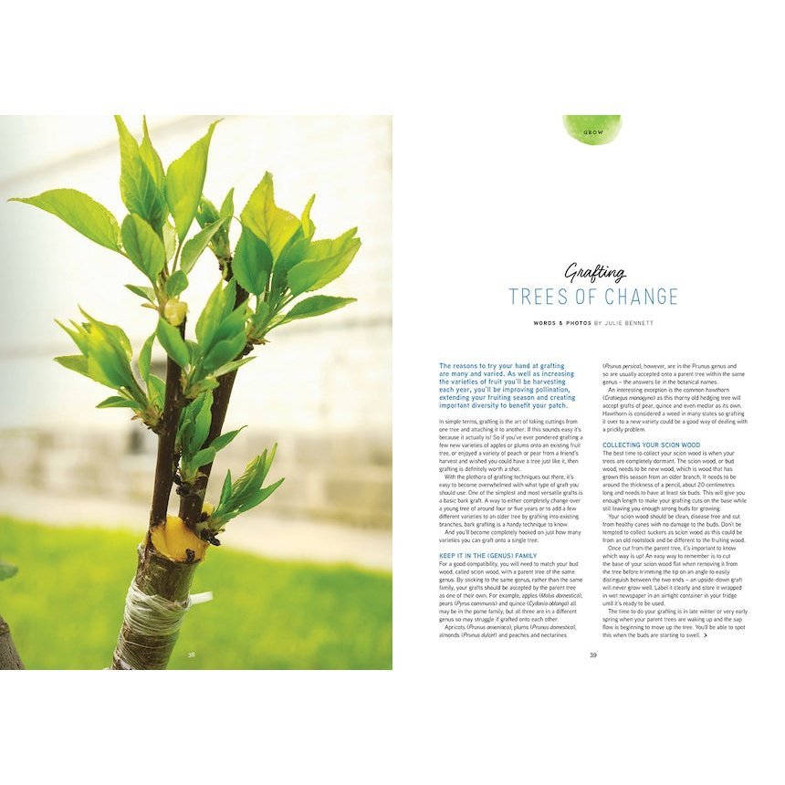 Pip Magazine Issue 28 Feature Article - Grafting Trees.