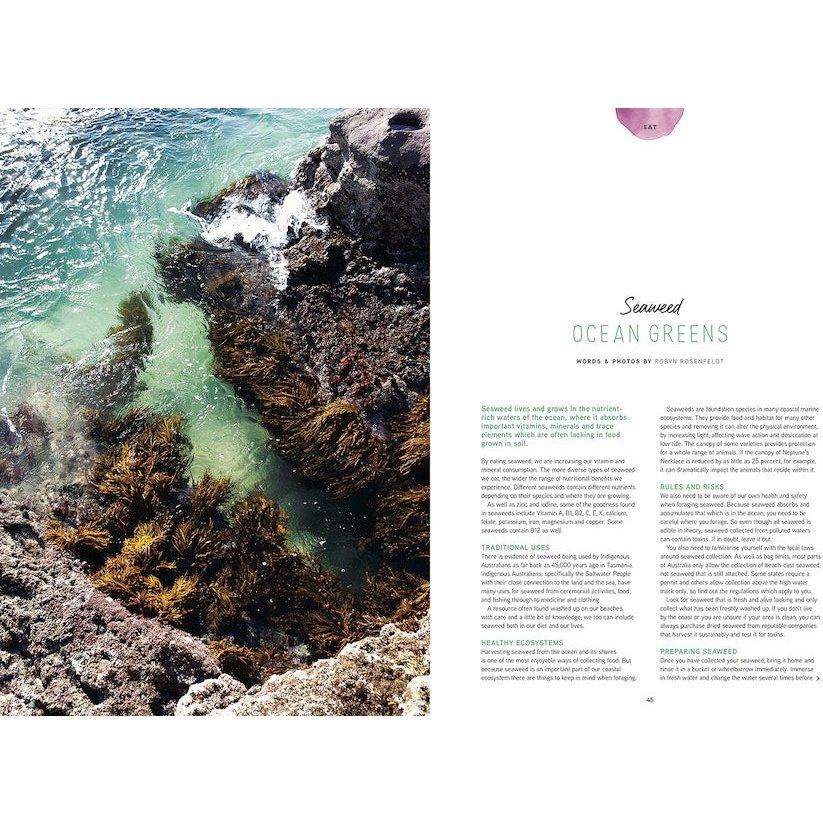 Pip Magazine Issue 29 - Seaweed Ocean Greens